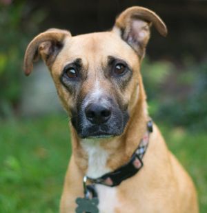 Photo of Bitsy