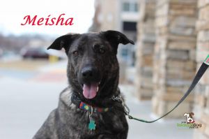 . Meisha .