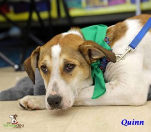 . Quinn .