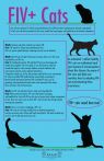 . Crookshanks -Special Fee $75-FIV+ .