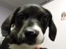 Verona HOLD FOR RESCUE