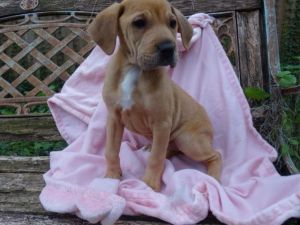 . Tamara (of The Russian Litter) .