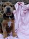 . Tatyana (of The Russian Litter) .