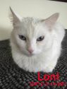 Loni