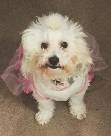 . Emma .