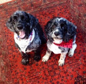 . Ikey and Smokey .