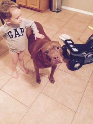 Photo of Oliver/courtesy Posting
