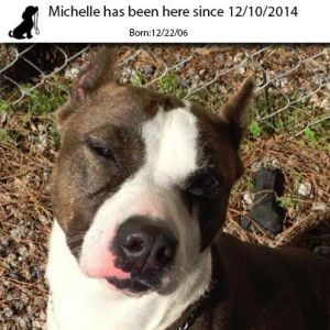 . Michelle .