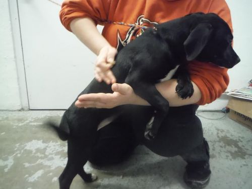 . URGENT-Elsa .
