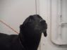 . URGENT-Elsa .