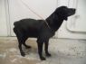 . URGENT-Elsa .