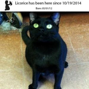 . Licorice .