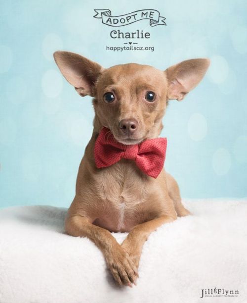 . Charlie .
