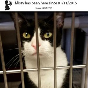 . Missy .