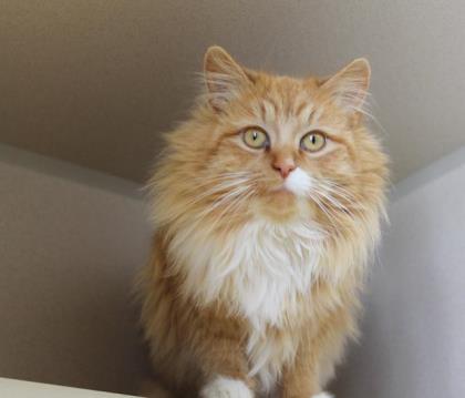 . Odon - 1 year old .