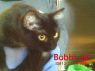 Bobbi Jo