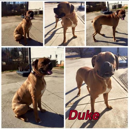 . Duke .