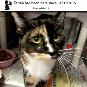 . Farrah .