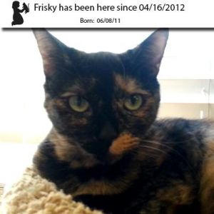 . Frisky .