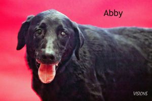 . Abby .