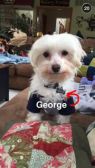 George