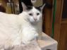 . Jason - Big Gentle Boy .
