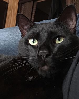 . Franklin .