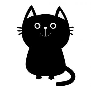 . Kittens in foster care! .