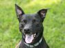 River - FREE TO ADOPT!