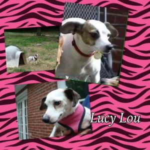 . Lucy MH .