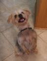 Mindy - In Foster Care