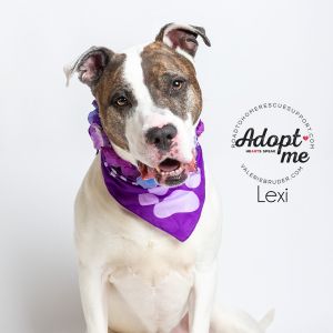 Photo of Lexi