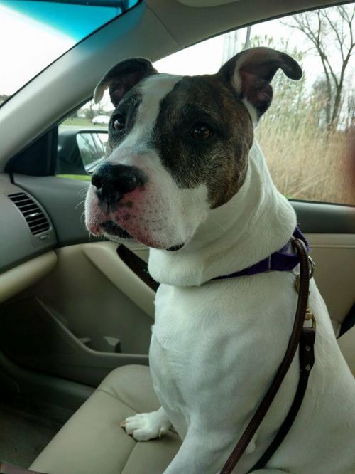 Photo of Lexi