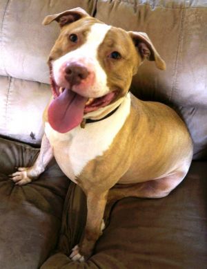 Photo of Sadie