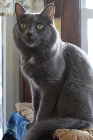 . LUCKY & CHANCE - Bonded Brothers .