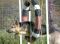 . DONATIONS: AGILITY EQUIPMENT .