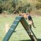 . DONATIONS: AGILITY EQUIPMENT .