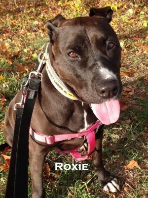 . Roxie .