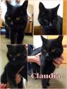 Claudia