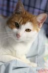 Bitsie (Foster)