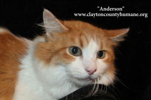 . Anderson .