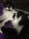 . Tia (bonded w/Elle) .