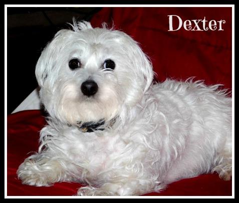 . Dexter .