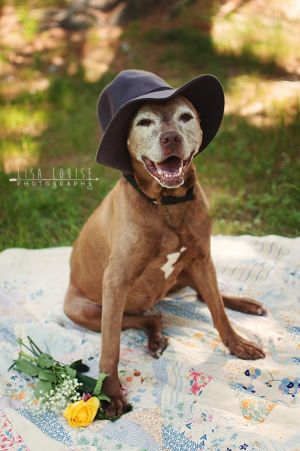. Sadie -- Looking for Happily Ever After .