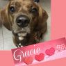 Gracie
