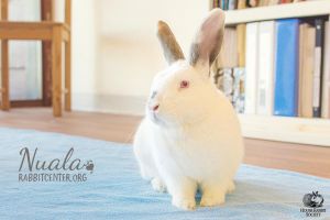 . Nuala .