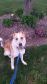 Taj *URGENT*
