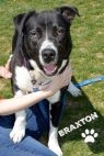 Braxton