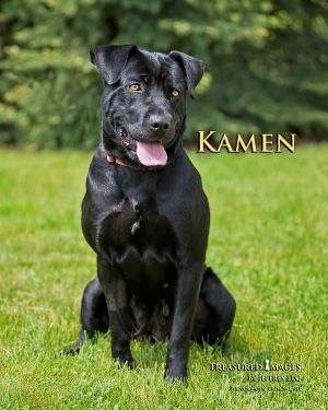 . Kamen .