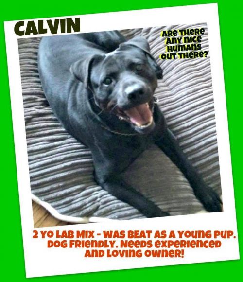Photo of Calvin